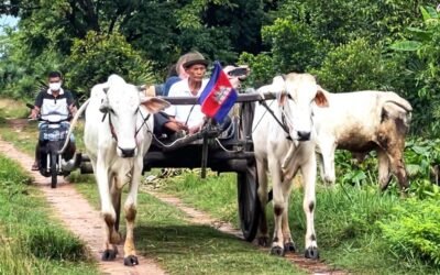 Ox-Cart Riding Countryside Tour